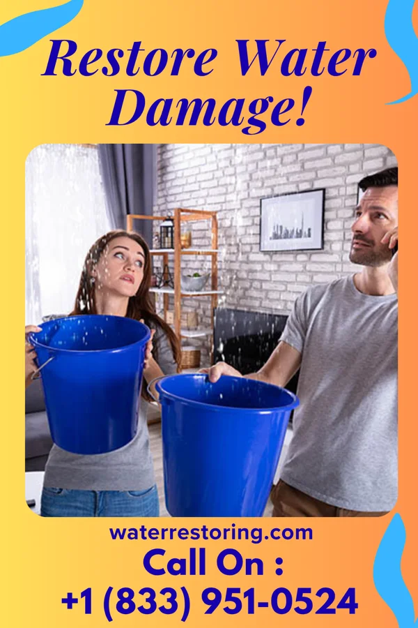 water restoration Capital Water Mitigation Team Fremont