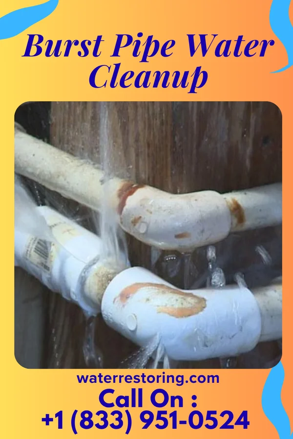 Burst Pipe Water Cleanup in Fremont, OH