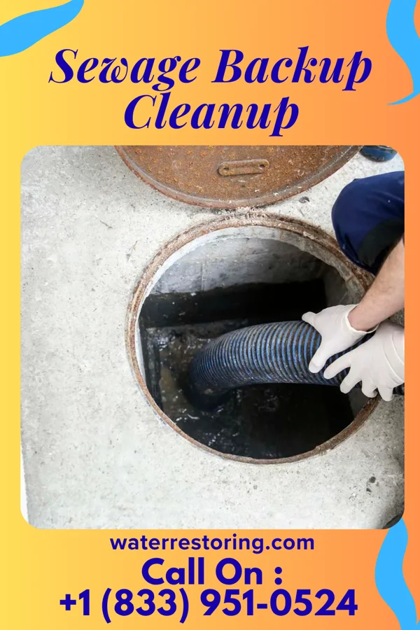 Sewage Backup Cleanup in Fremont, OH