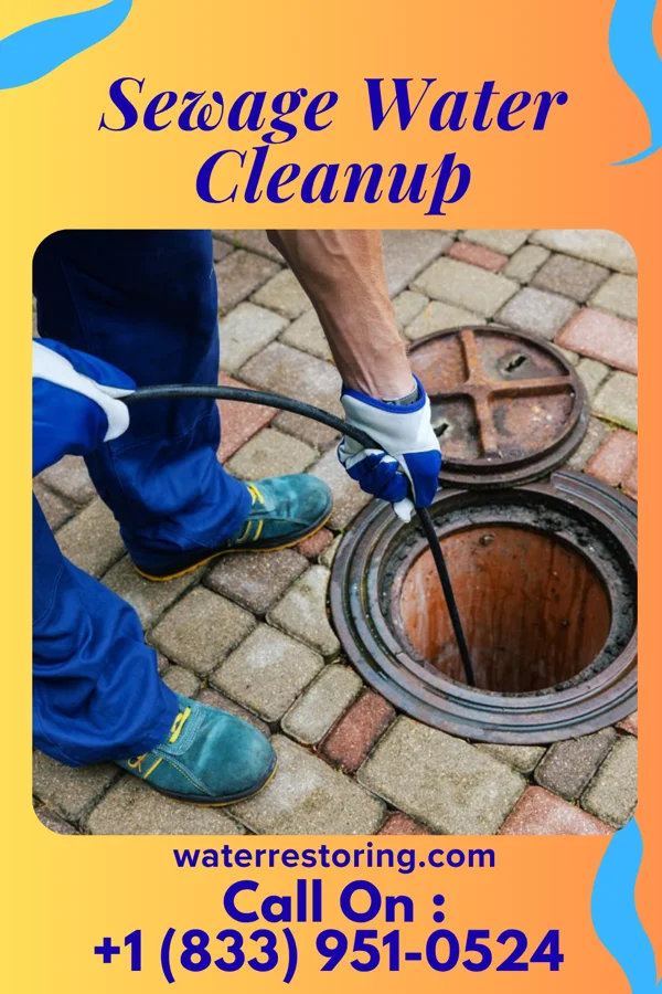 Sewage Water Cleanup in Fremont, OH