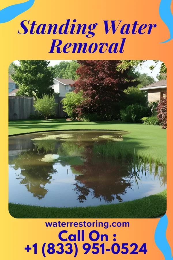 Standing Water Removal in Fremont, OH